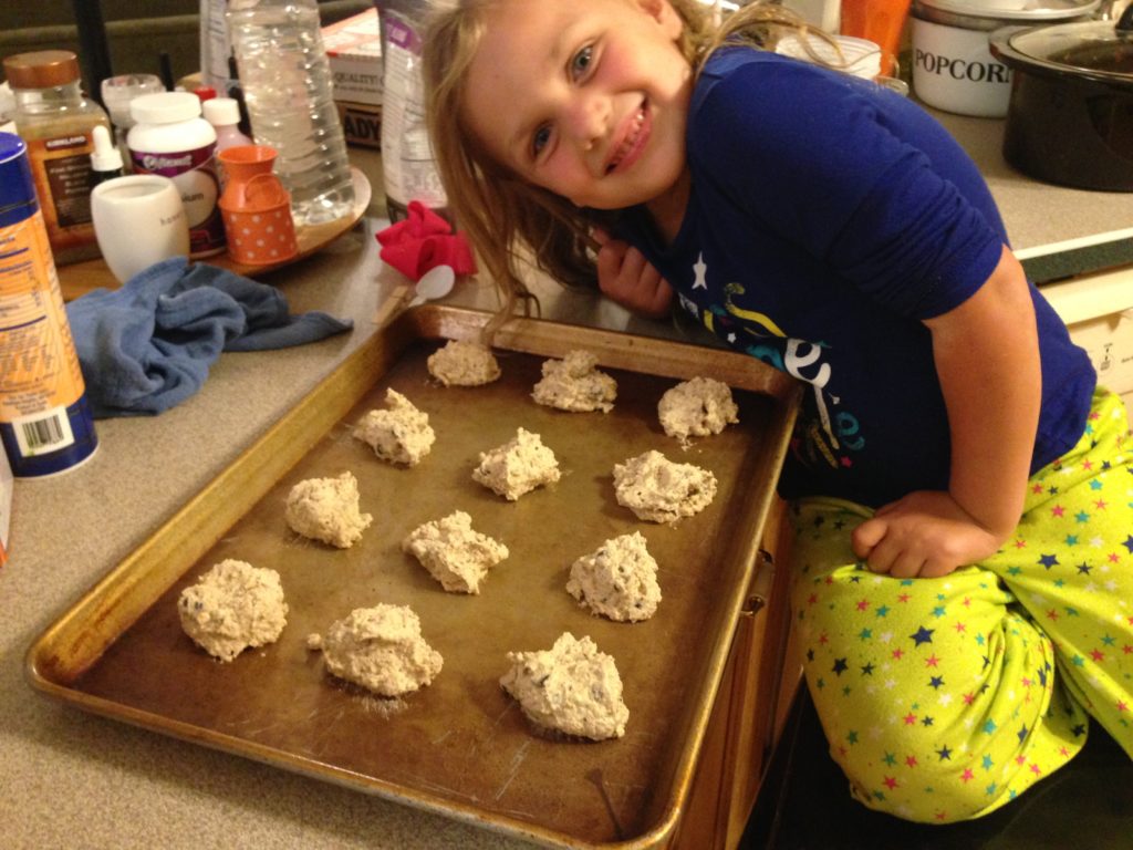 Not-So-Oatmeal Chocolate Chip Cookies - Mrs. Criddles Kitchen