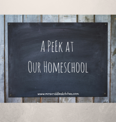 A Peek At Our Homeschool