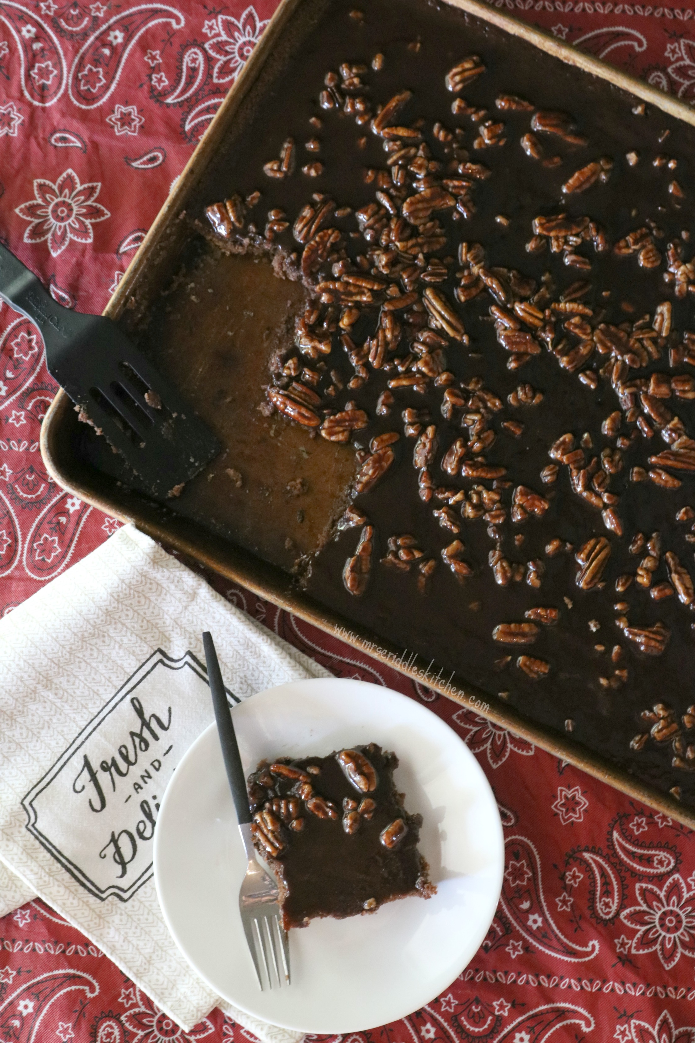 Best Ever Texas Sheet Cake - The Dashley's Kitchen - Video Recipe