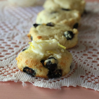 Blueberry Tea Biscuits (thms, low carb, sugar free)